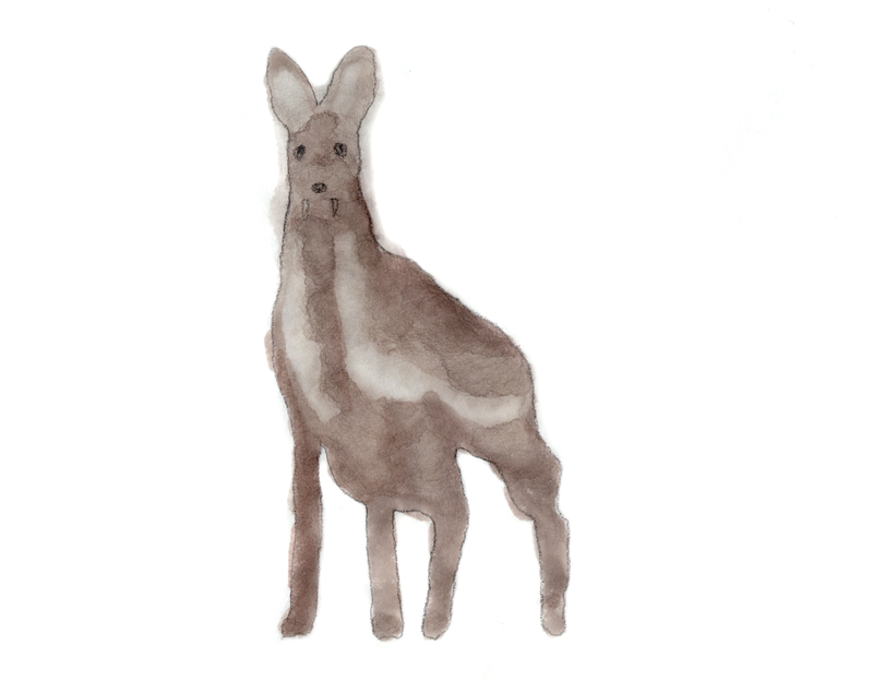 9 Endangered Animals in Korea