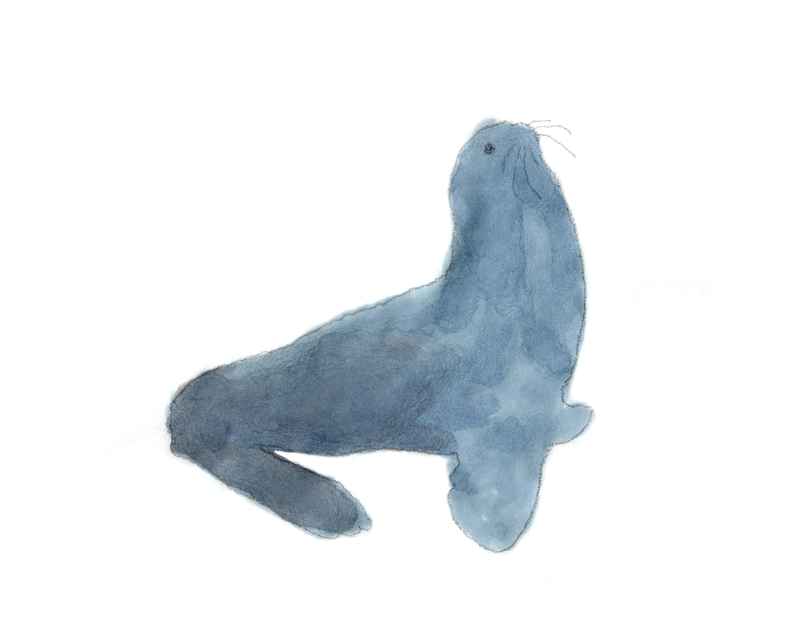 9 Endangered Animals in Korea