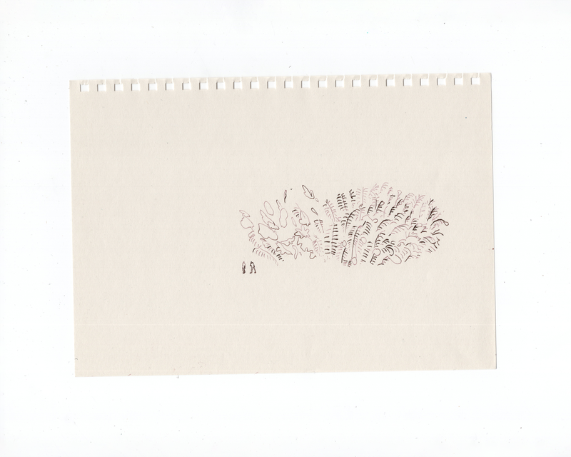 Landscapes